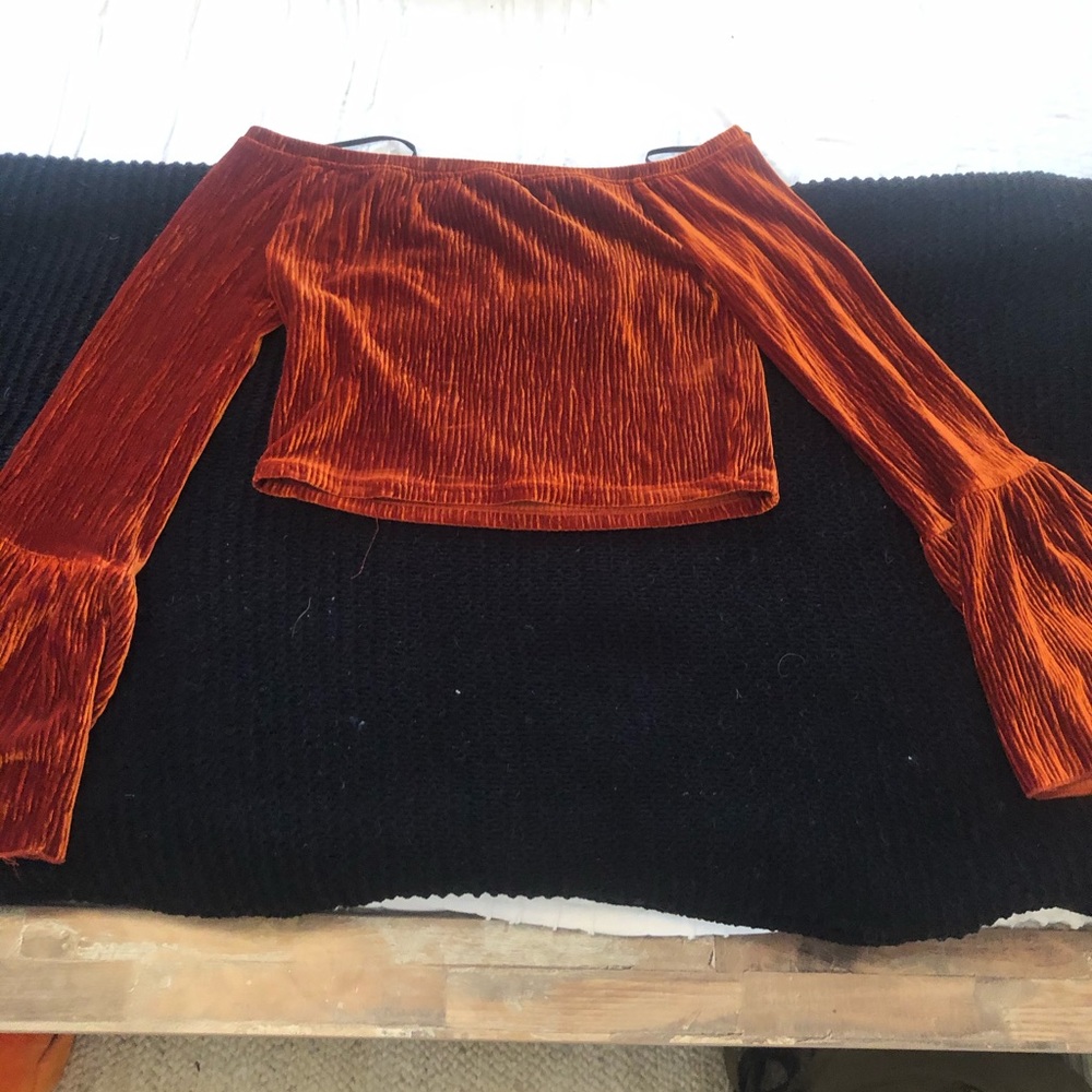 Velvet F21 crop top